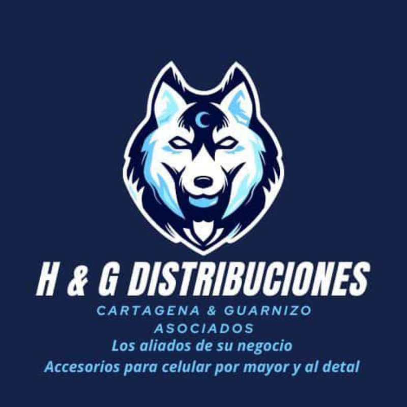 H Y G Distribuciones