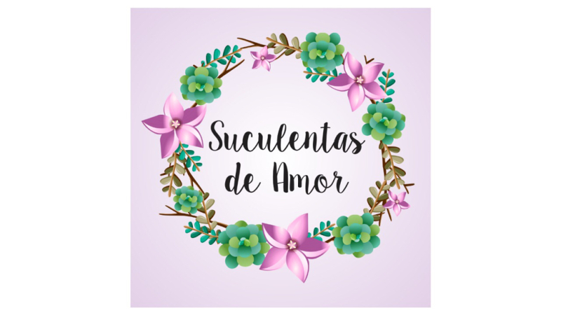 Suculentas de amor bogota
