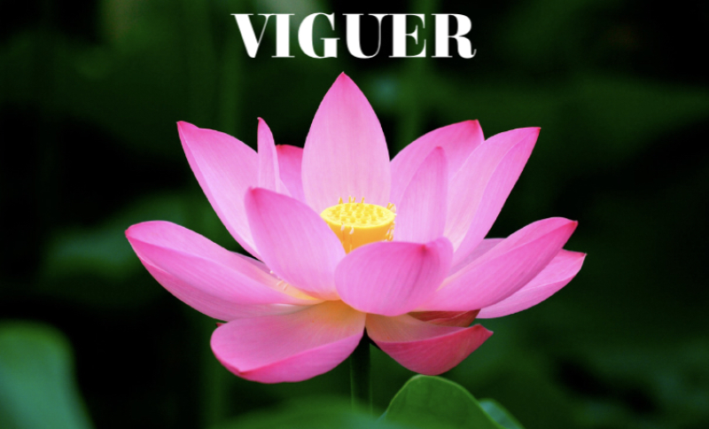 VIGUER