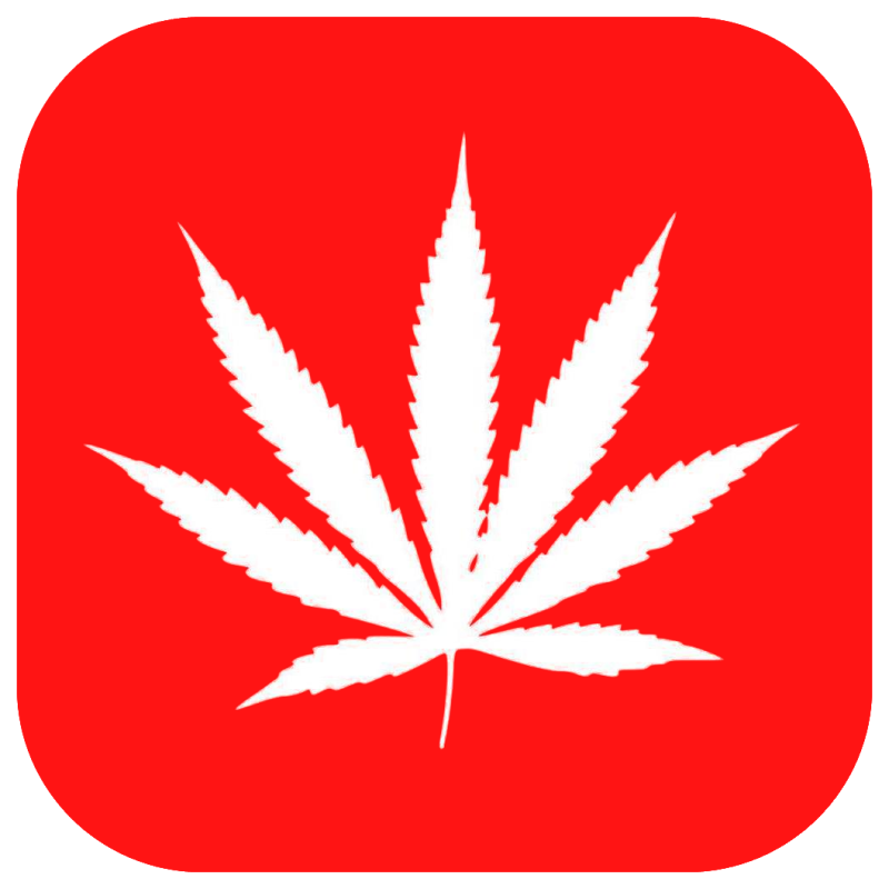 Mary Jane Tienda Virtual