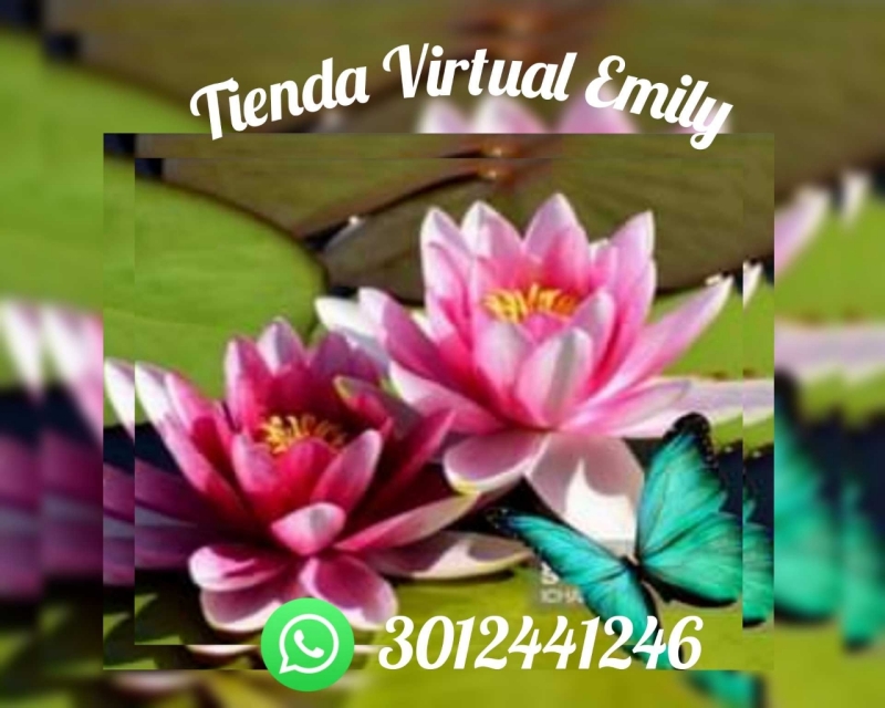 🌸Tienda Virtual Emily 🌸 