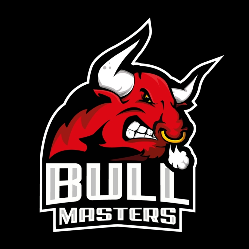 Bull Masters eSports